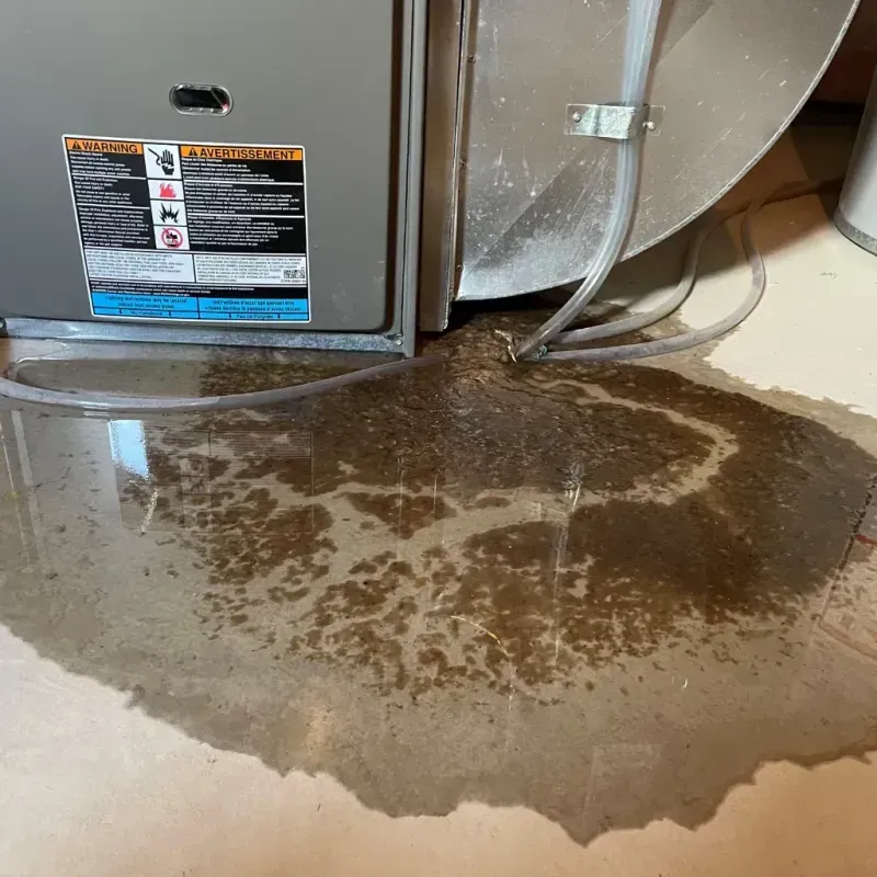 Appliance Leak Cleanup in York, AL